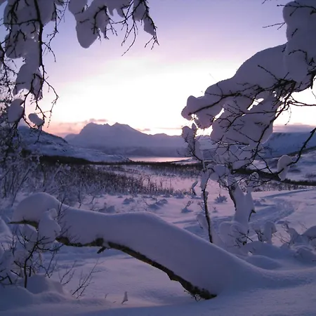 Apartment Koselig I Tur-eventyret Tromso Kvaloya