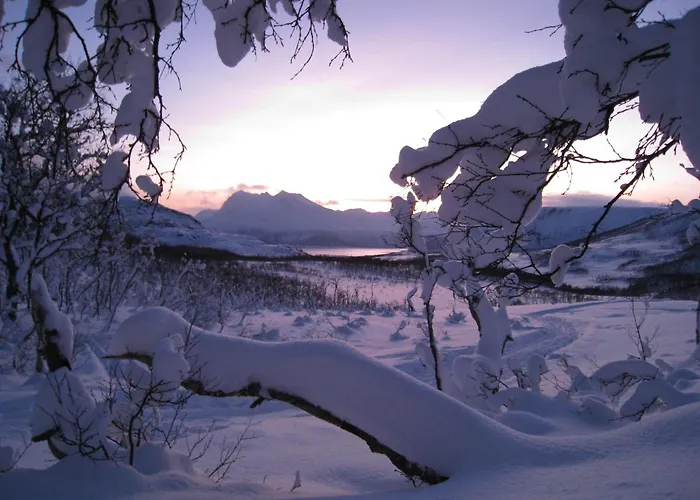 Apartament Koselig I Tur-eventyret Tromso Kvaloya